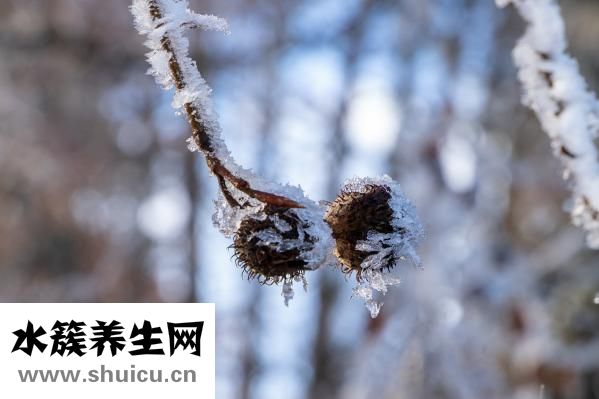 肥鱼怎么做汤