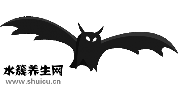 遇到蝙蝠怎么办