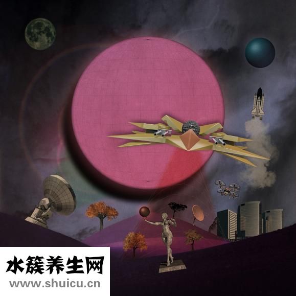 猫吐猫粮是怎么回事