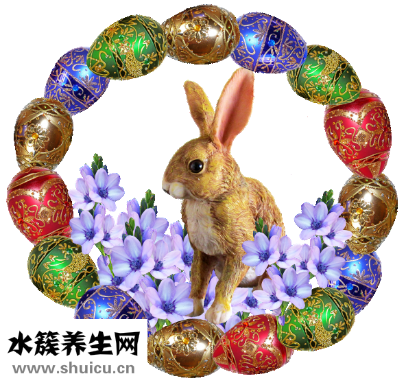 醋蛋怎么泡