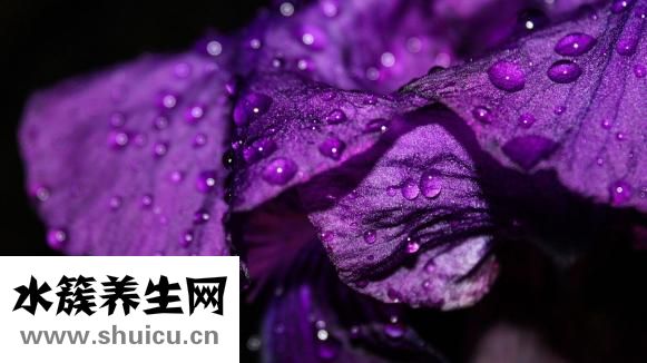 怎么虹膜变异