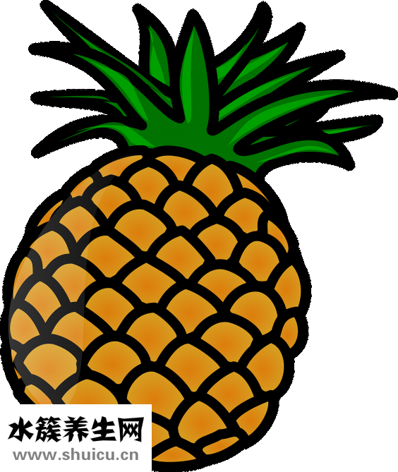 用钱怎么折菠萝