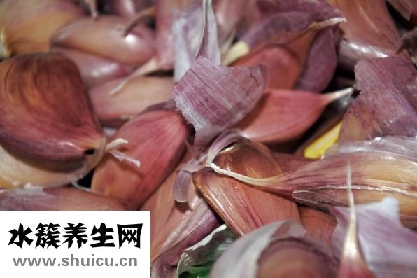 孔雀鱼下崽了怎么办