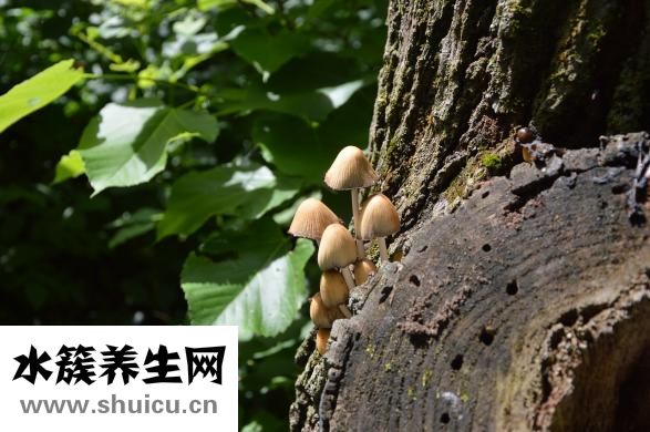 指甲痒是怎么回事