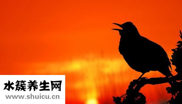 怎么利用经期减肥