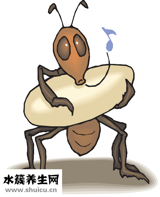 醋蛋怎么泡