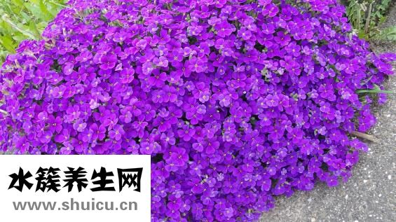 毛线垫子怎么做
