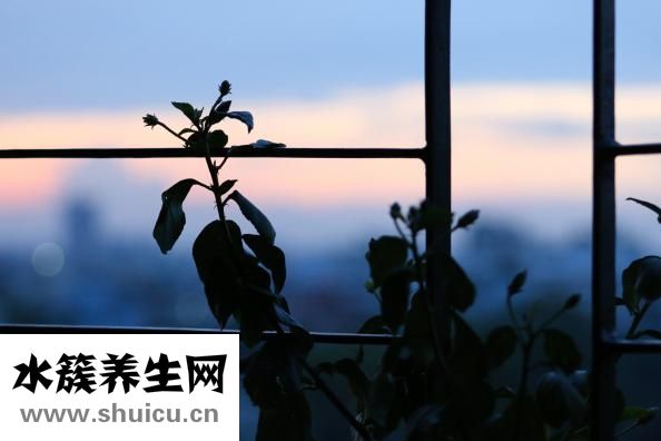 职场妈妈怎么备奶