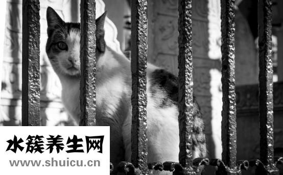 焊工闪眼怎么治疗