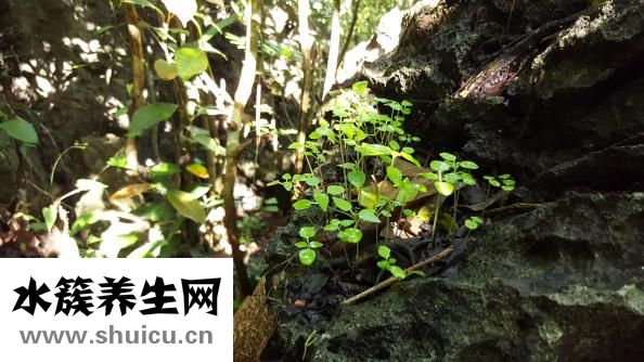 夏天流汗多怎么办