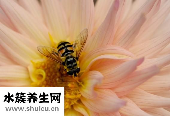 春天痒怎么办