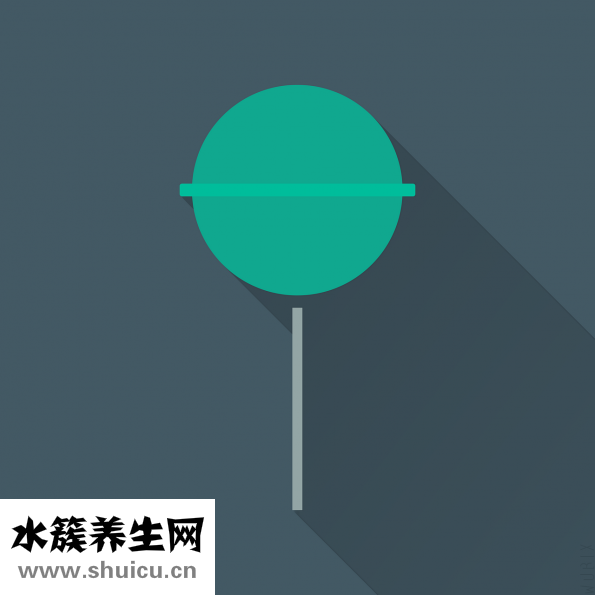扁平头怎么办
