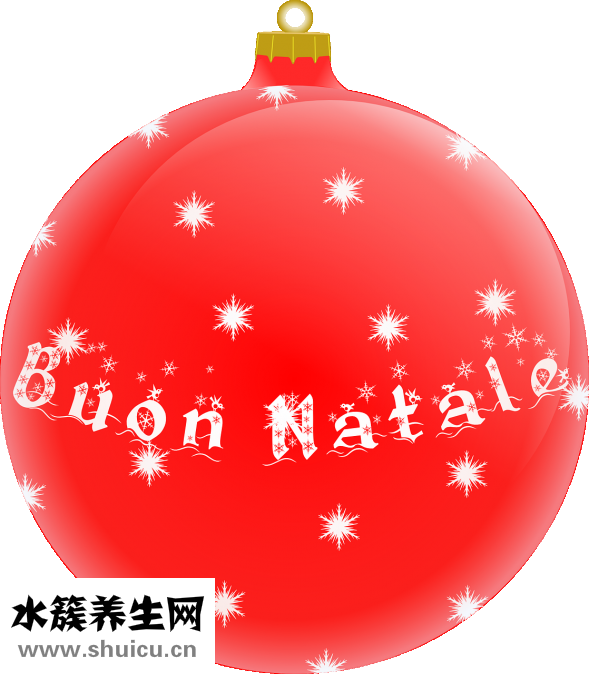 圆佛珠怎么种