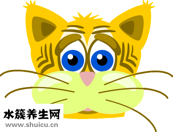 用盐怎么洗头