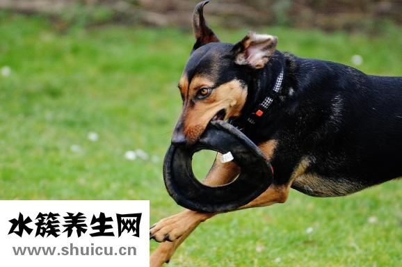 宝宝内向怎么办