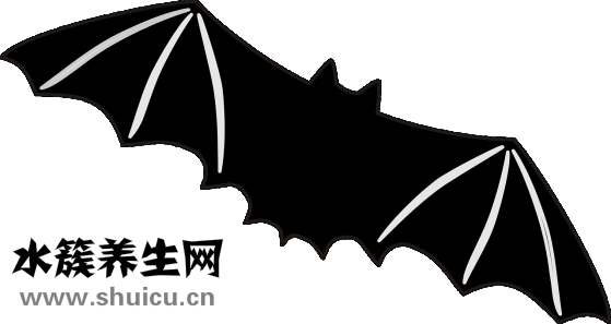 遇到蝙蝠怎么办
