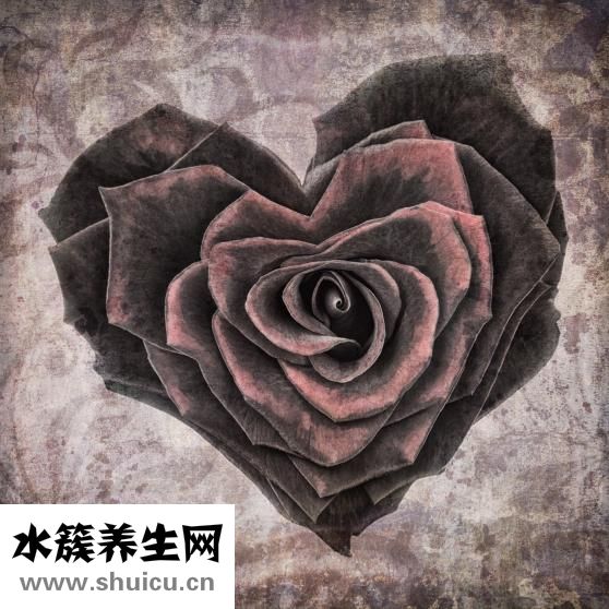 心脏有水是怎么回事