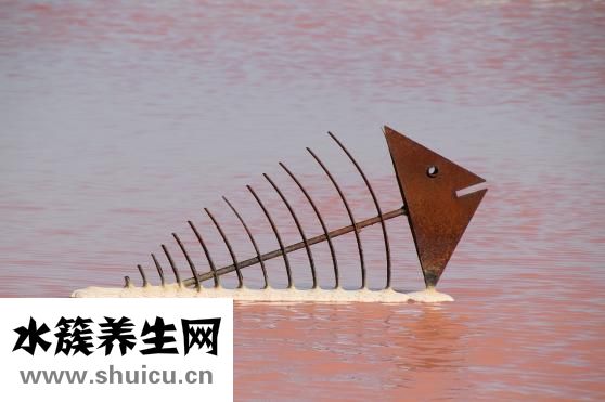海鱼干怎么是咸的