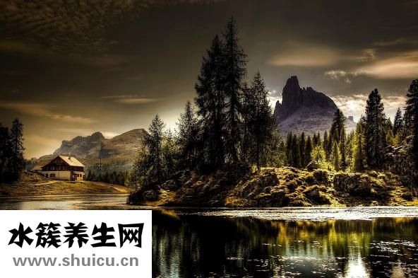 智力低下怎么办