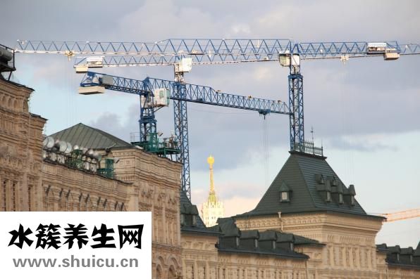 怎么把脸吃胖