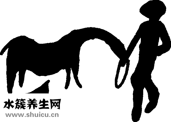 怎么喝白酒比较好