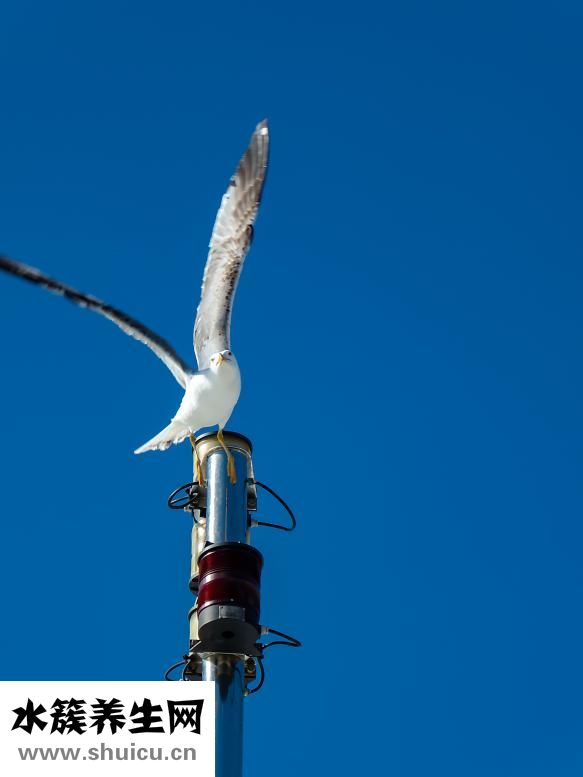 男人胸很大怎么减