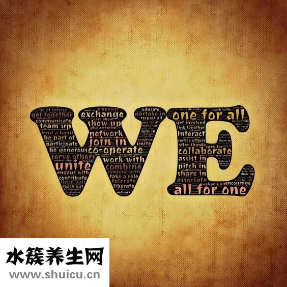社会抚养费怎么算