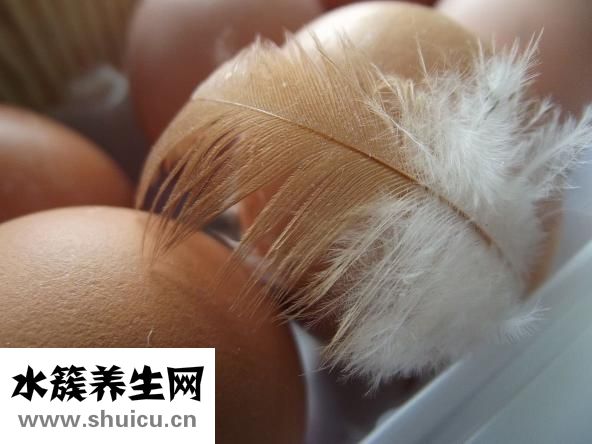 醋泡鸡蛋怎么美容