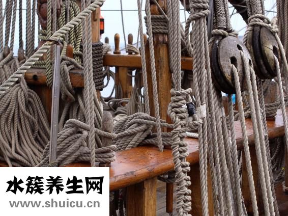蚱蜢怎么编