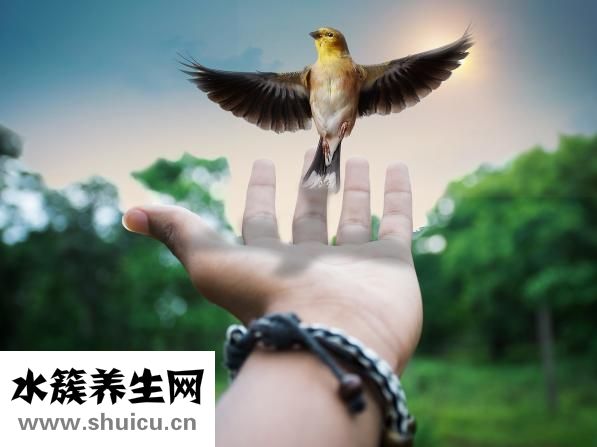 智力低下怎么办