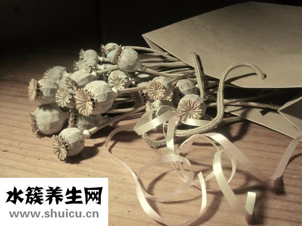 怎么量吉他