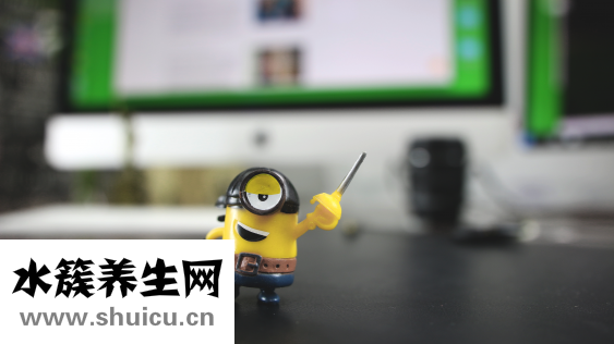 狗狗皮下出血怎么办