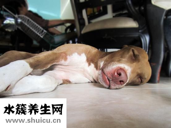 孩子睡前鼻塞怎么办