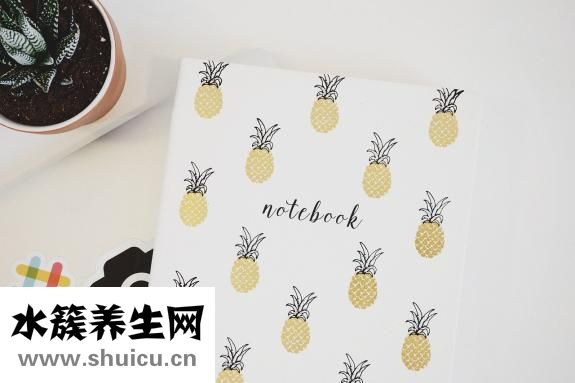 我贪玩怎么写