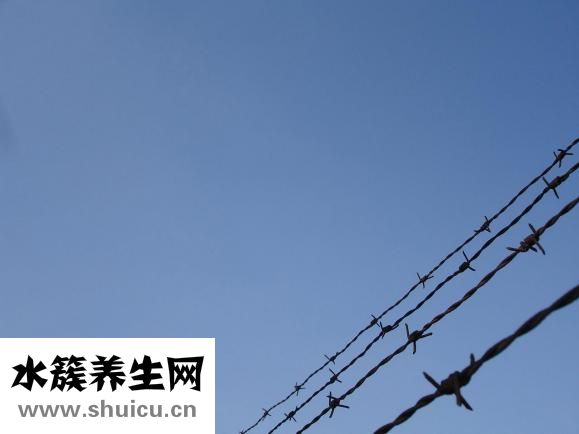 对啥都没兴趣怎么办