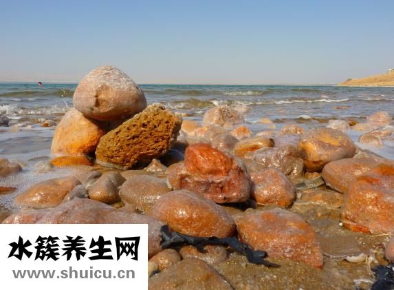 怎么煮年糕