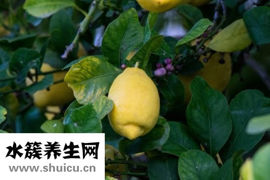 木头味怎么除掉