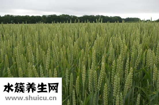 奶粉店怎么做活动