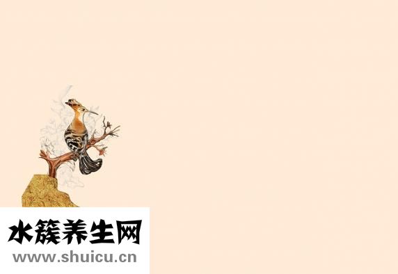 手绘煎饼怎么练