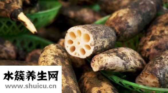 肾不排毒怎么办