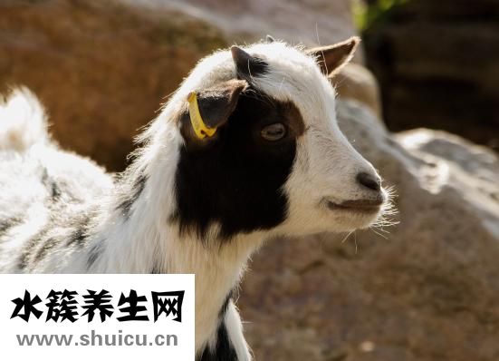 手心怎么看