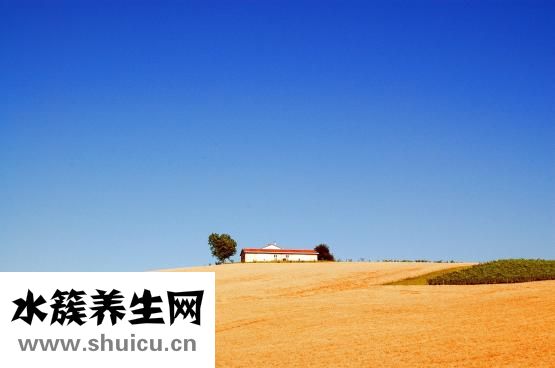 毛呢大衣腰带怎么绑