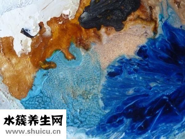 地瓜汤怎么煮