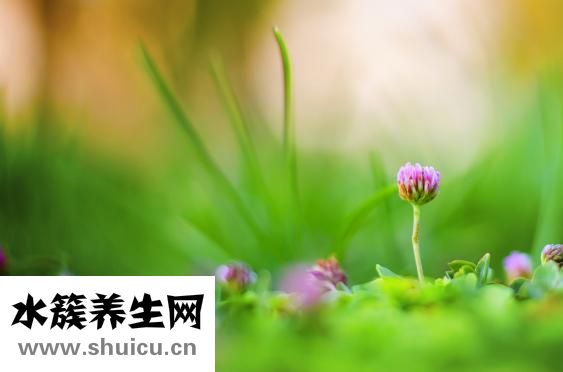 妈妈生气了怎么哄