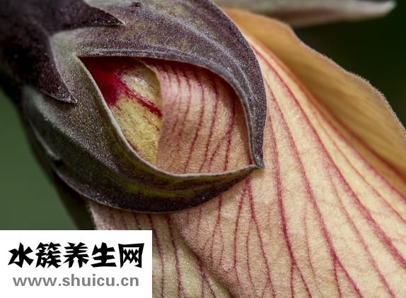 找不到眼镜怎么办