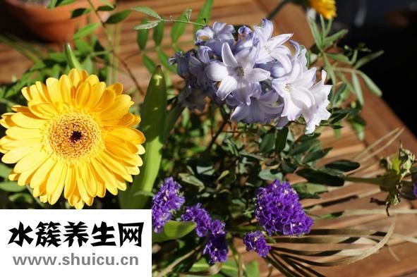 艾绒架怎么使用