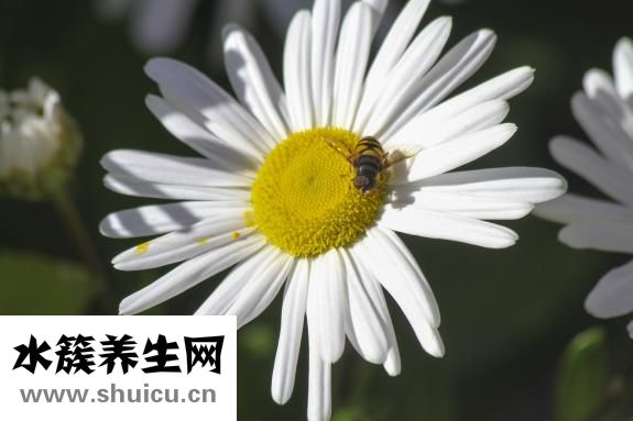 怎么让嘴巴变好看