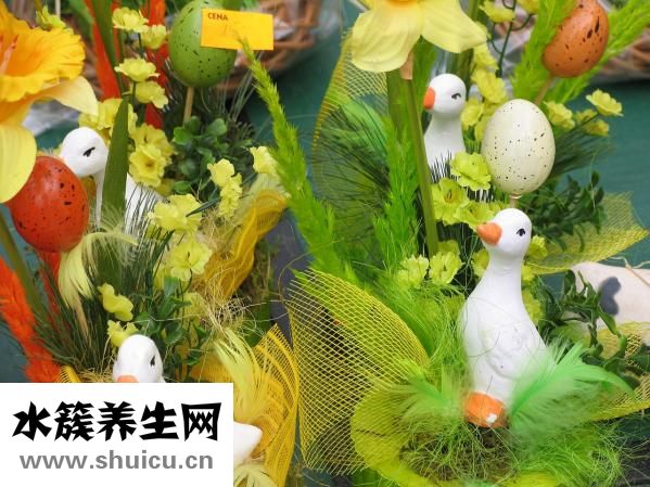 猪腰子怎么煮面