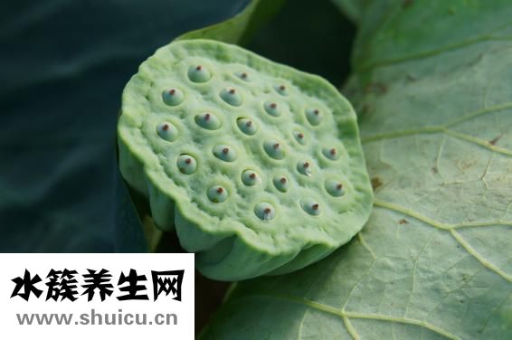 肾不排毒怎么办