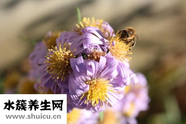怎么让嘴巴变好看